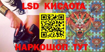 бошки Владимир