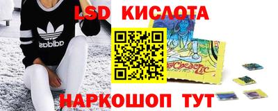 бошки Владимир