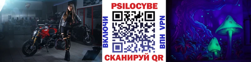 Галлюциногенные грибы Psilocybine cubensis  Вичуга 