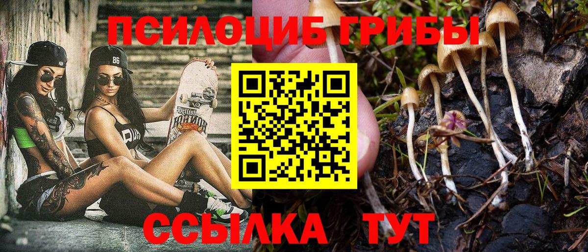Галлюциногенные грибы ЛСД Вичуга